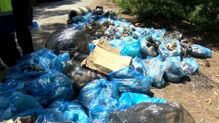 Belgrad Ormanından toplanan atıklar fidana dönüşecek