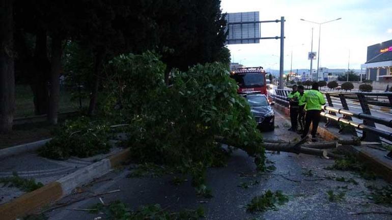 Fırtınada devrilen ağaç seyir halindeki otomobilin üzerine düştü
