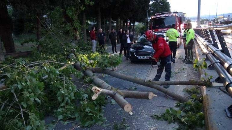 Fırtınada devrilen ağaç seyir halindeki otomobilin üzerine düştü