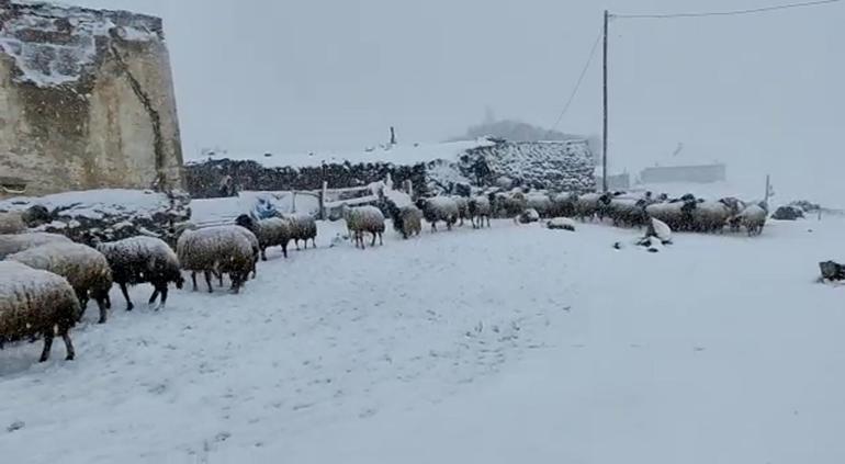 Ağrıya kış geri geldi