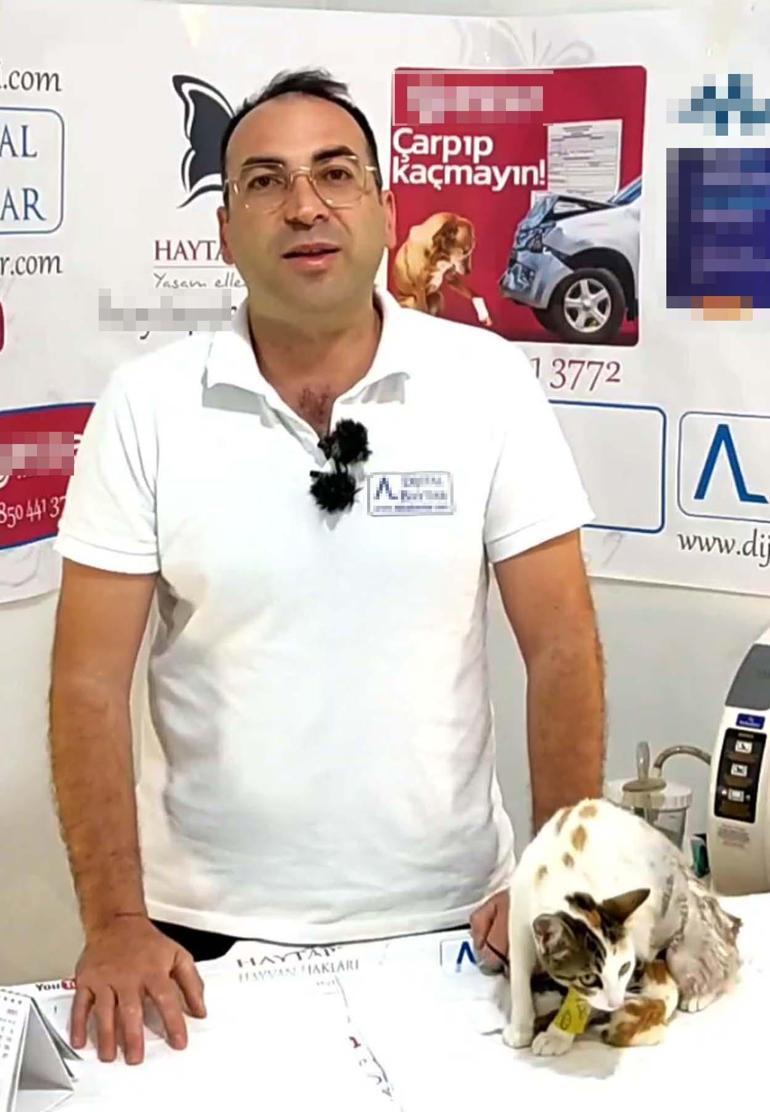 Doğum yapamayan kediyi imam kurtardı