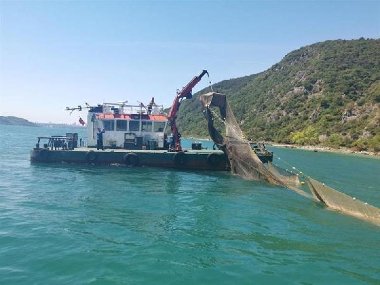 İstanbul Boğazındaki kaçak dalyanlar kaldırıldı; on binlerce balık kurtarıldı