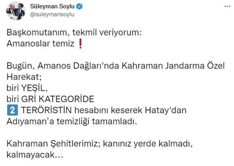 Yeşil ve Gri kategoride aranan 2 terörist etkisiz hale getirildi