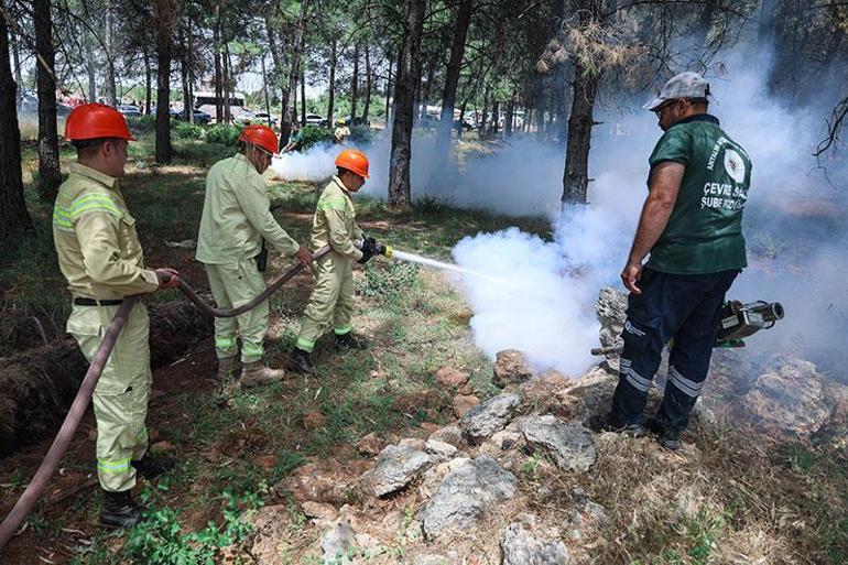 4 ilde 5 bin kişiyle Türkiyenin en büyük orman yangını tatbikatı gerçekleştirildi