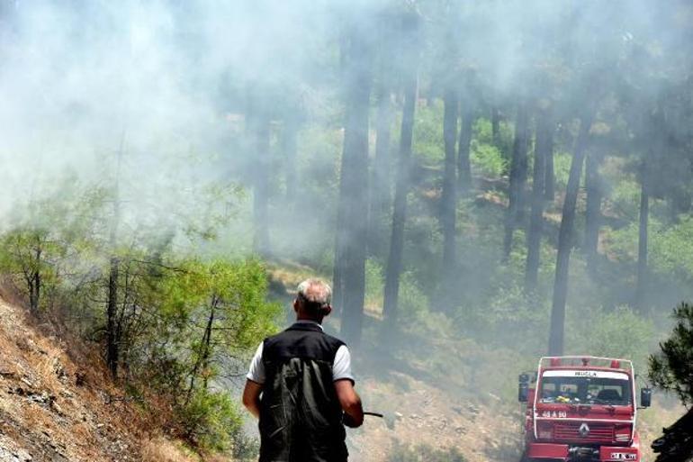 4 ilde 5 bin kişiyle Türkiyenin en büyük orman yangını tatbikatı gerçekleştirildi