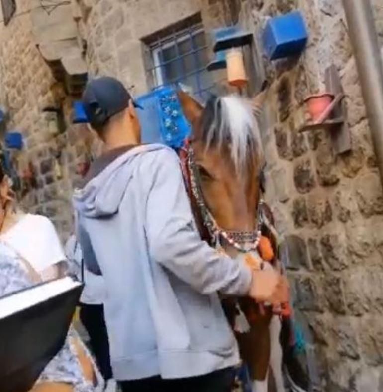 Atlara eziyet yapılıyor diye paylaşım yapan Mardinli Marilyn Monroeya tokat kamerada