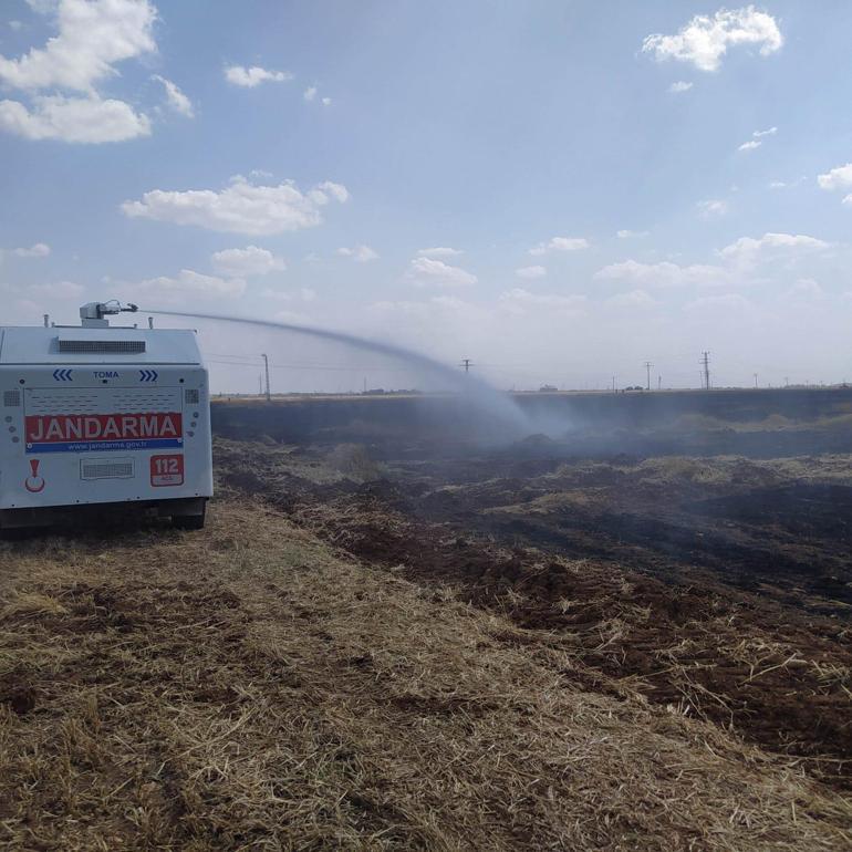 Kızıltepe’de buğday ekili tarladaki yangına jandarma TOMA ile müdahale etti