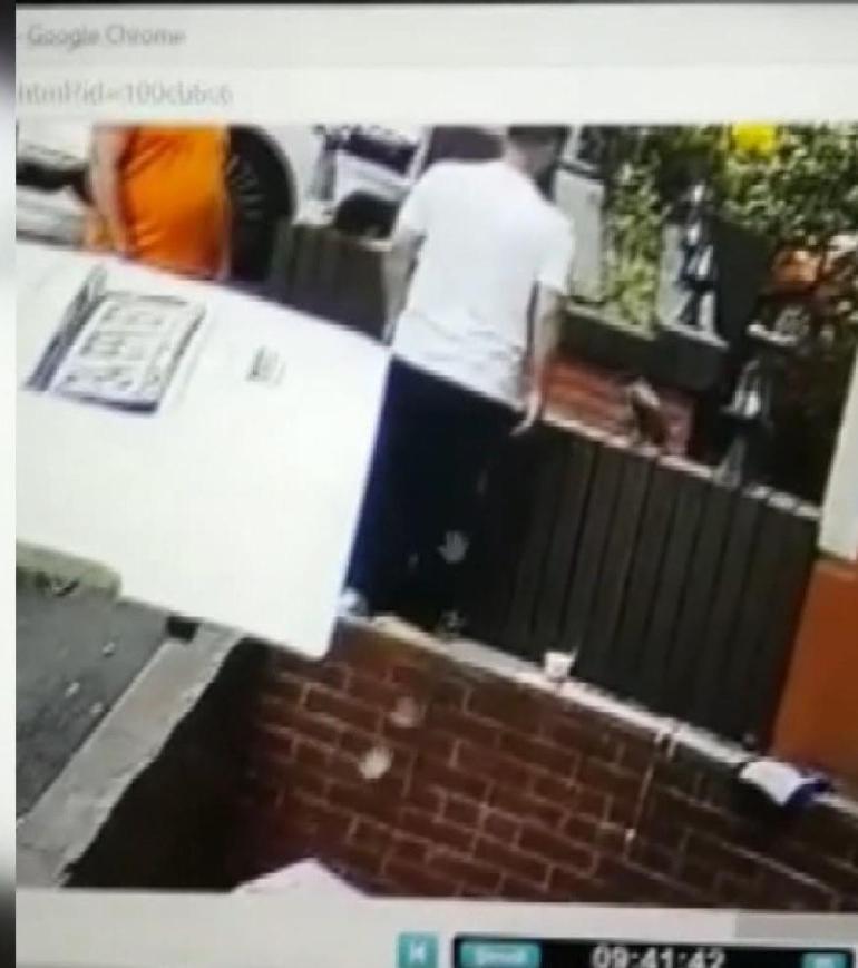 Şişlide yavrusunu korumak isteyen karga ortalığı birbirine kattı; 5 kişi kaçacak yer aradı