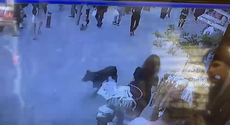 Fatihte sokak köpeğini araçların önüne atan kişiye dayak