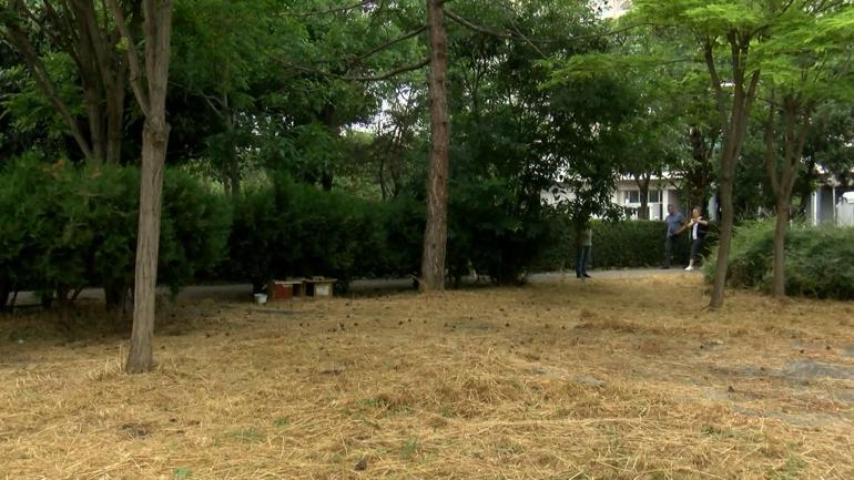 Ataköy sakinlerinden yeni konut projesine tepki