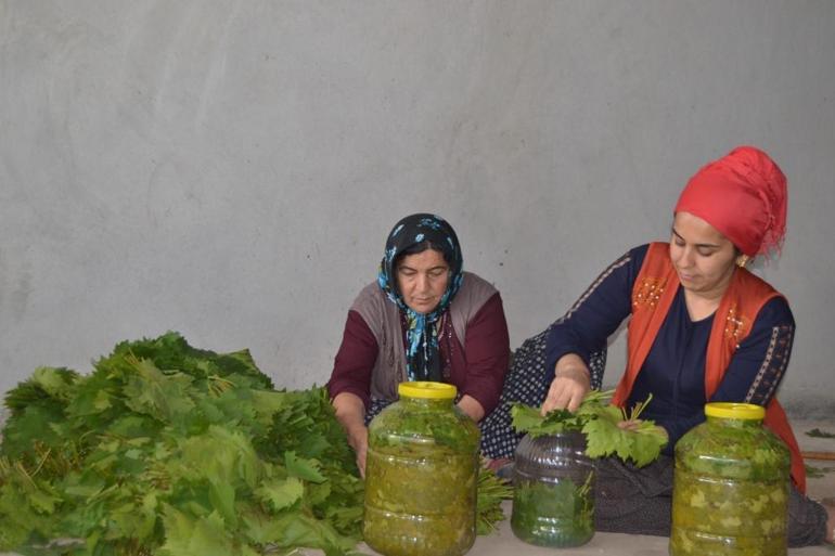 Hassada kadınların bağ bozumu öncesi yaprak mesaisi