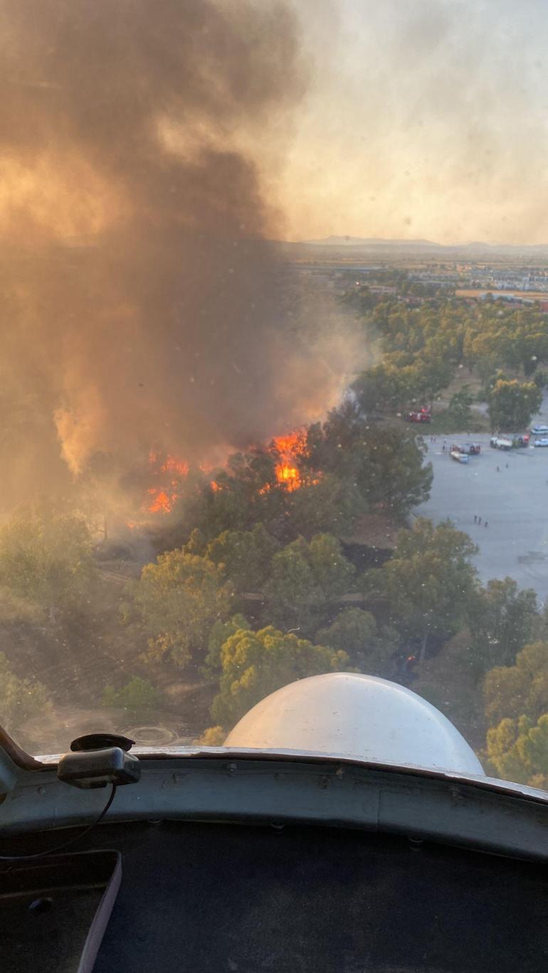 Sasalı Doğal Yaşam Parkının yanındaki ormanda çıkan yangın kontrol altına alındı