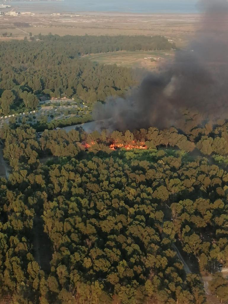 Sasalı Doğal Yaşam Parkının yanındaki ormanda çıkan yangın kontrol altına alındı