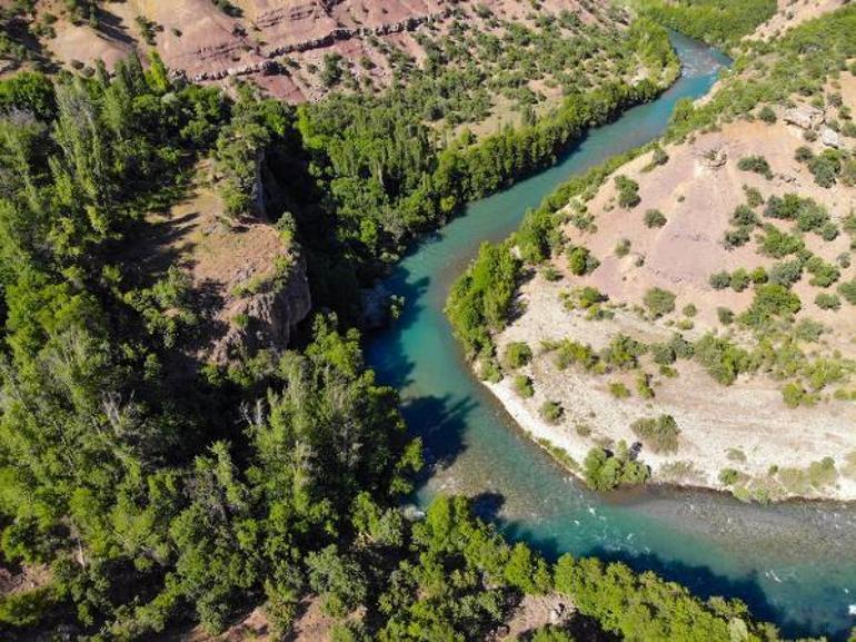 Tunceli’de köylüler dışında ormanlara giriş yasaklandı