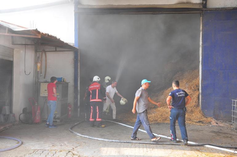 Manisada entegre tesiste çıkan yangında 350 ton saman küle döndü
