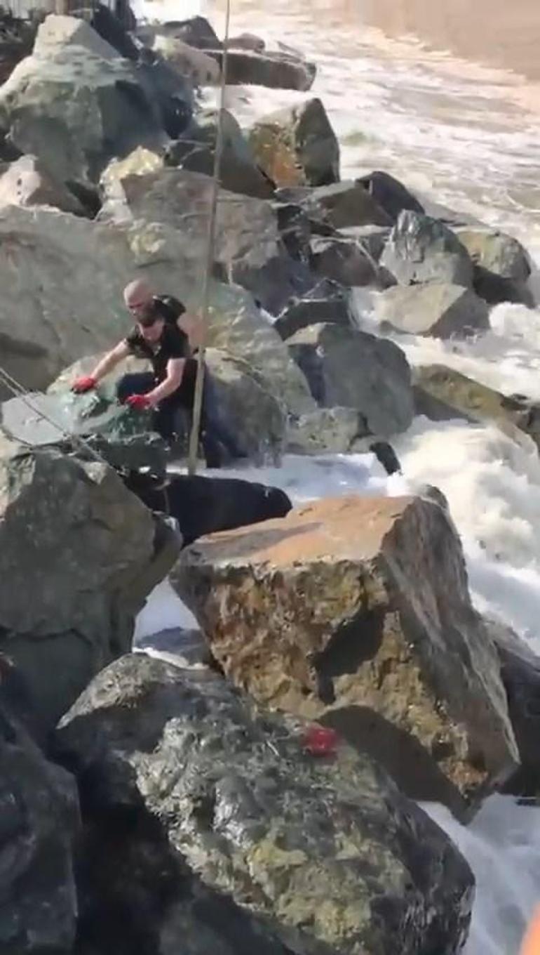 Kurbanlık boğa denize düştü, vinçle kurtarıldı