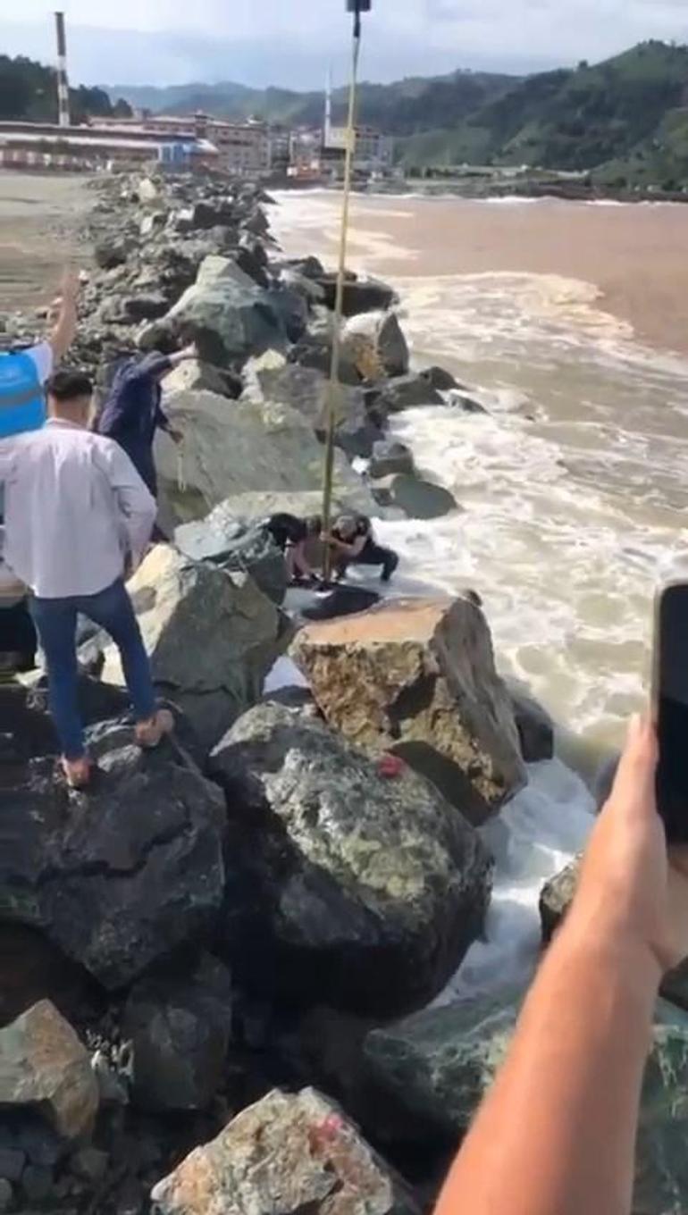 Kurbanlık boğa denize düştü, vinçle kurtarıldı