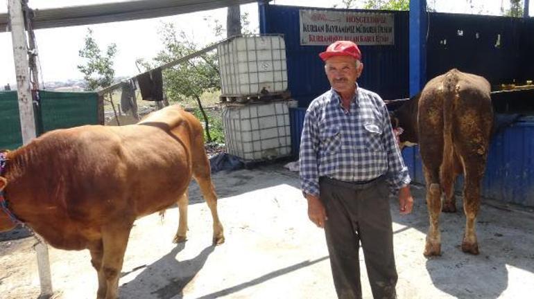 Avcılar’da yetim ve öksüzlere kurban bağışı