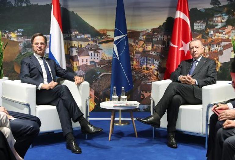 Cumhurbaşkanı Erdoğan, Hollanda Başbakanı Rutte ile görüştü