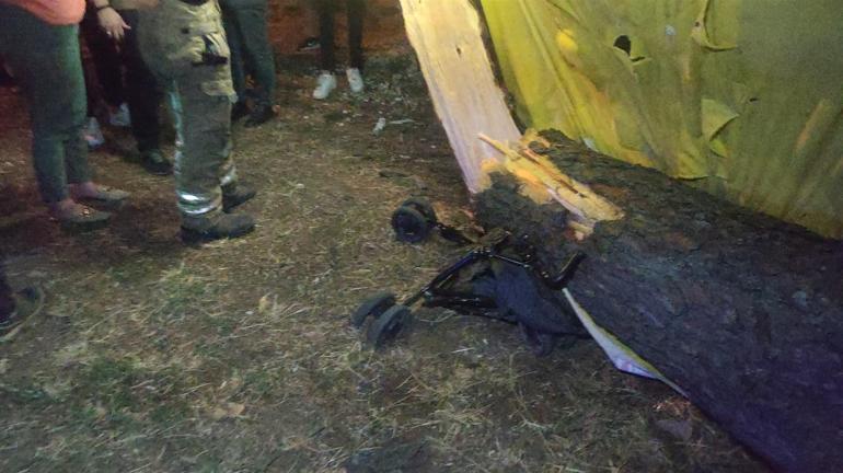 Çay bahçesinde, devrilen ağacın altında kalan 2 kişi yaralandı