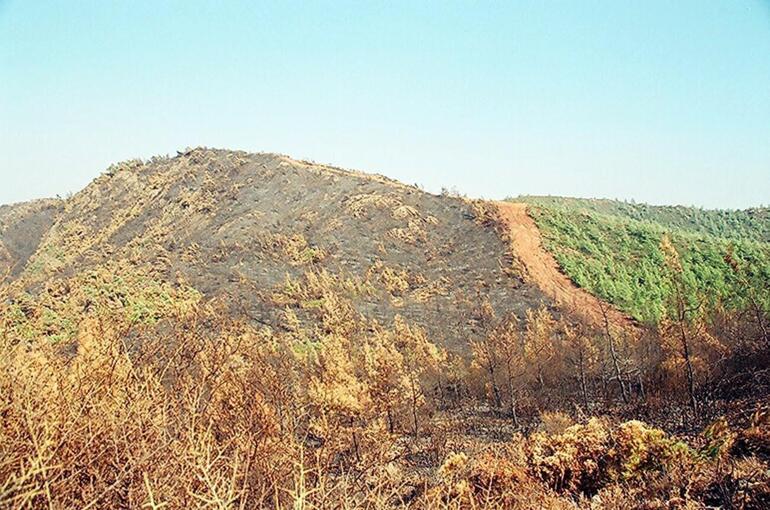 Alevlerin önü 25 yıl sonra yine aynı sırtta kesildi