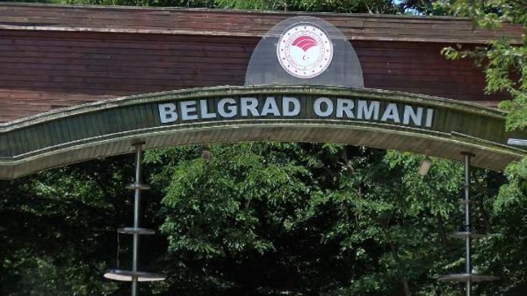 İstanbulda ormanlarda ateş yakma yasağı başladı