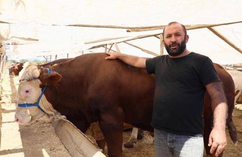 Kurban pazarları, ulaşım giderine yenik düştü