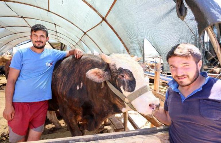 Kurban pazarları, ulaşım giderine yenik düştü