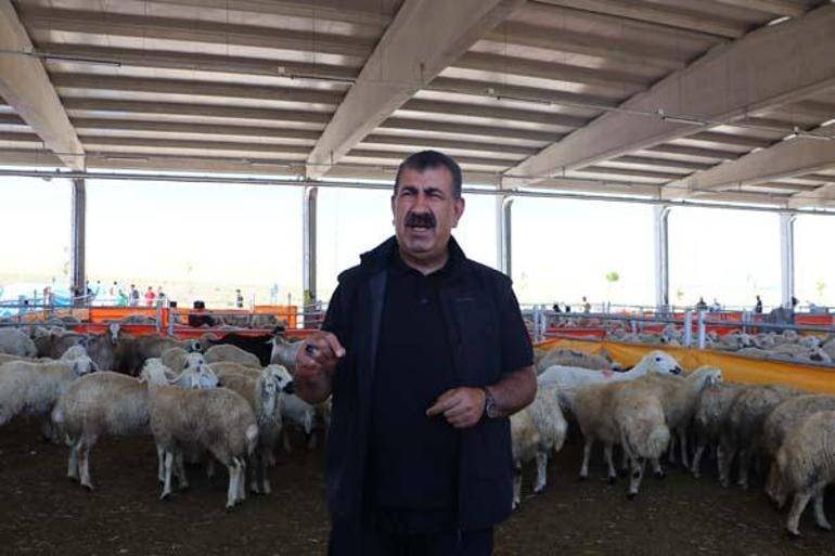 Bakan Yardımcısı Pakdil: Et ve Süt Kurumumuz, kalan kurbanlıkları değerlendirmeye hazır