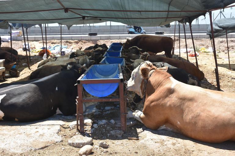 Kurban etini oda sıcaklığına gelmeden dolaba koymayın