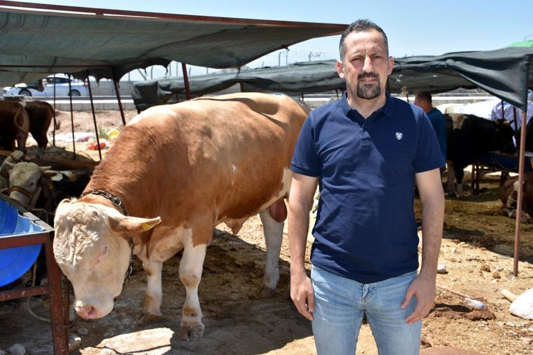 Kurban etini oda sıcaklığına gelmeden dolaba koymayın