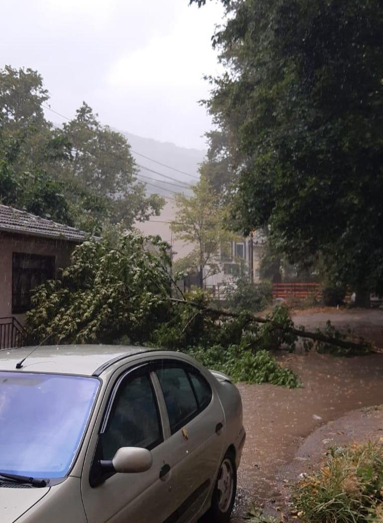Bursada sağanak ve fırtına; ağaçlar devrildi, cadde ve sokaklar suyla doldu