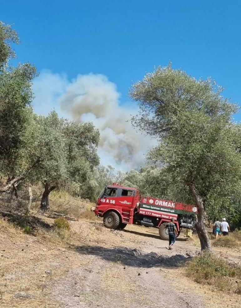 Bodrumda orman ve makilik yangını