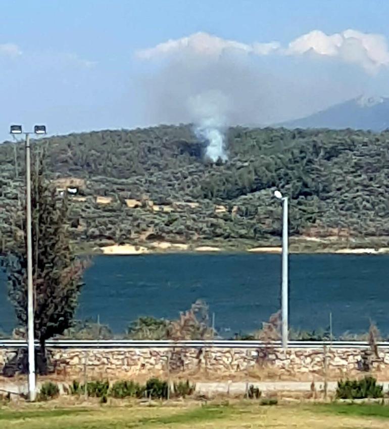 Bodrumda orman ve makilik yangını