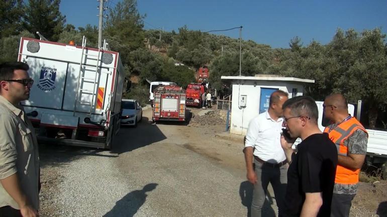 Bodrumda orman ve makilik yangını