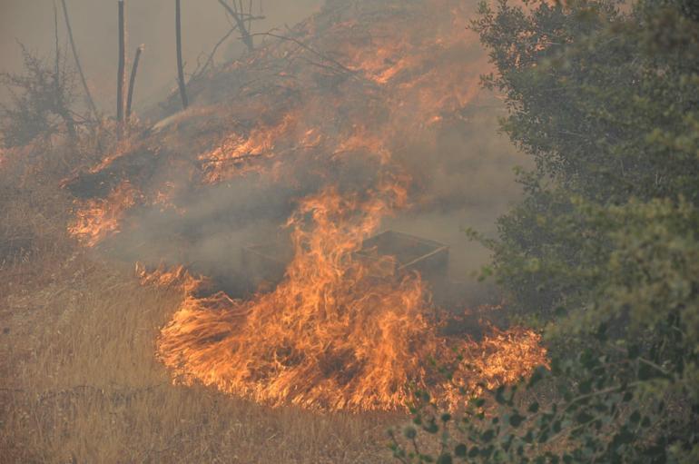 Datça’da orman yangını