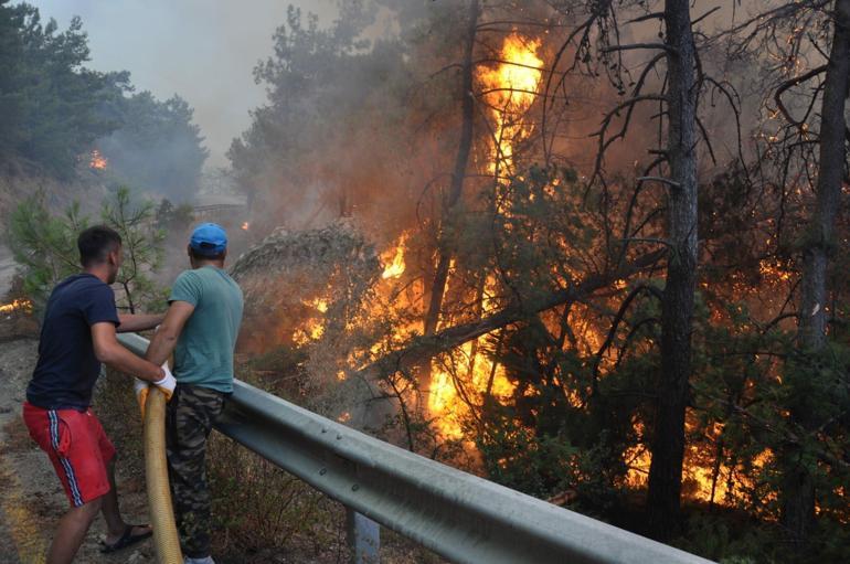 Datça’da orman yangını