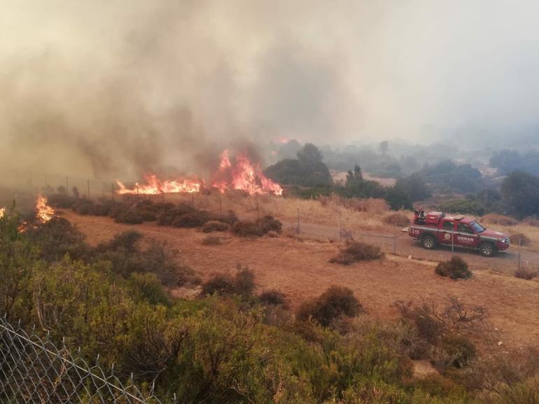 Çeşmede makilik yangını; 7 gözaltı