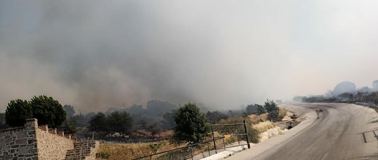 İzmir Bergamada makilik yangını kontrol altına alındı