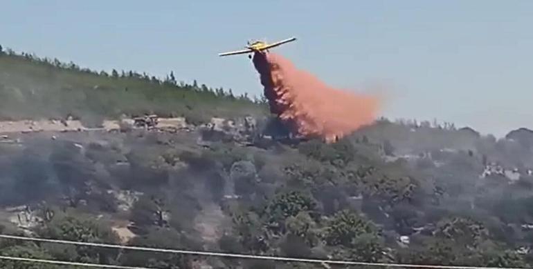 Tarım arazisinde çıkan yangın, ağaçlandırma sahasına sıçradı