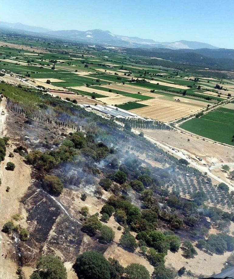 Tarım arazisinde çıkan yangın, ağaçlandırma sahasına sıçradı