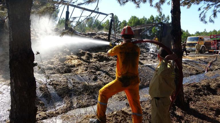 Çanakkalede Anzak Koyunda yangın; alevler ormana da sıçradı