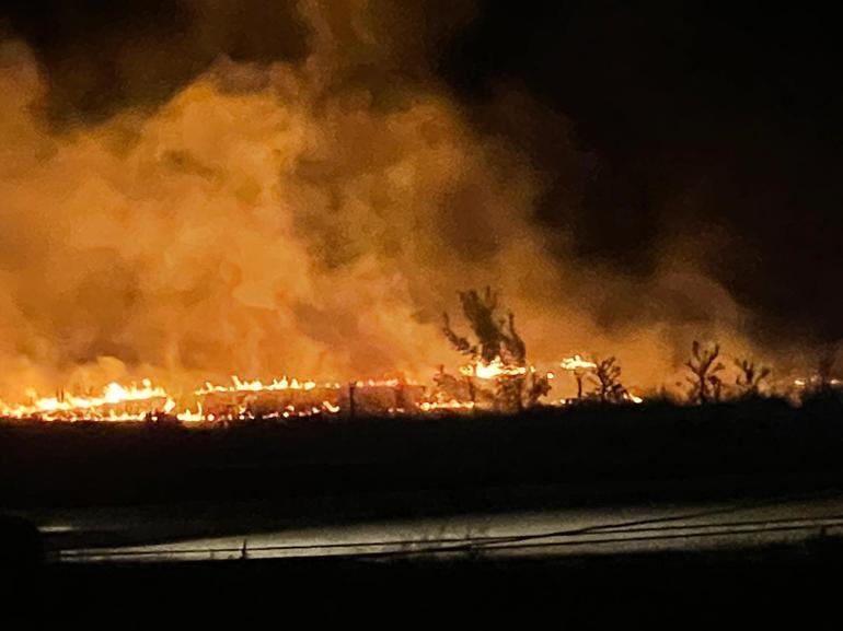 Leylek sürüsü anız yangınına neden oldu