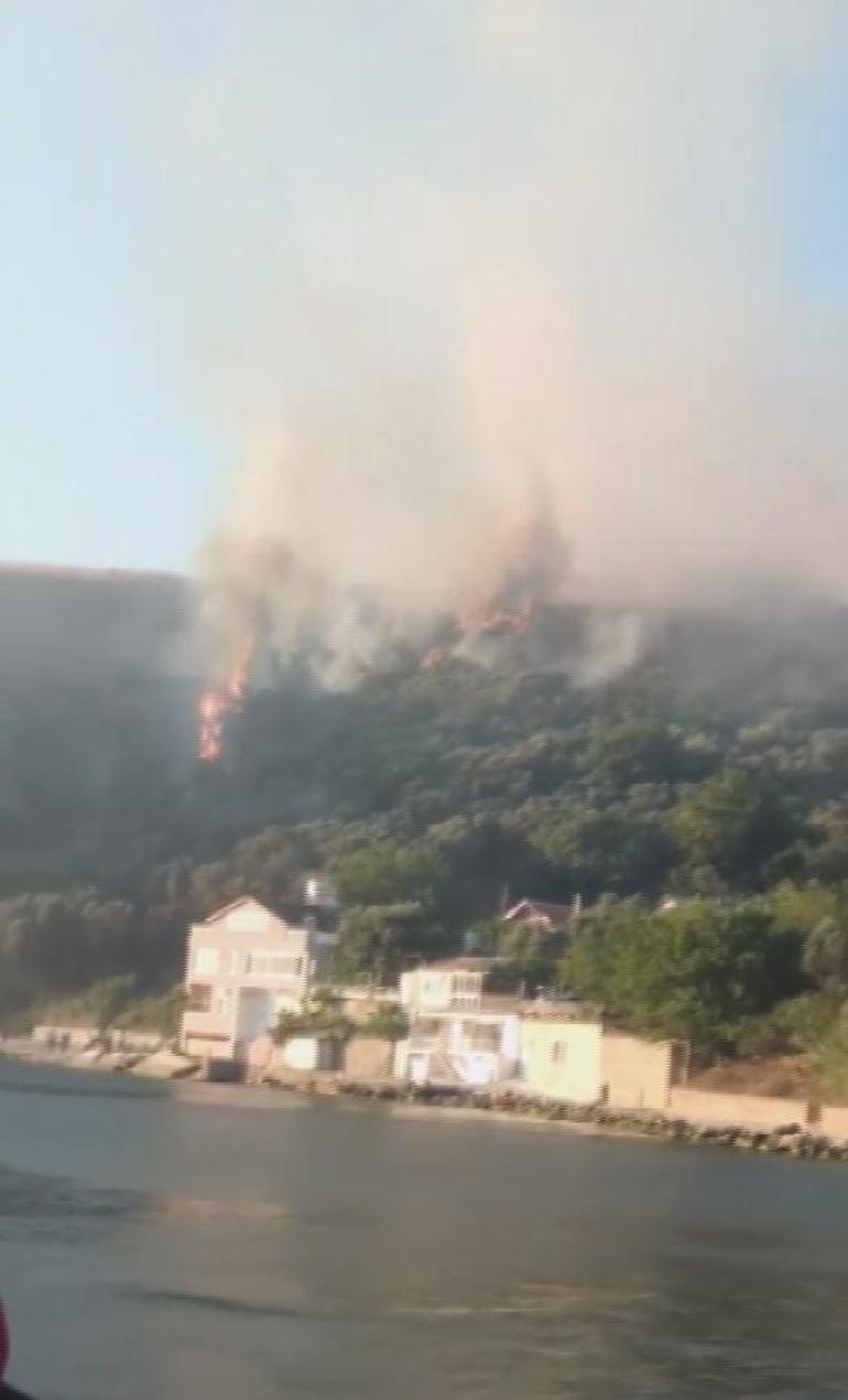 Mudanyada zeytinlik alanda çıkan yangın söndürüldü