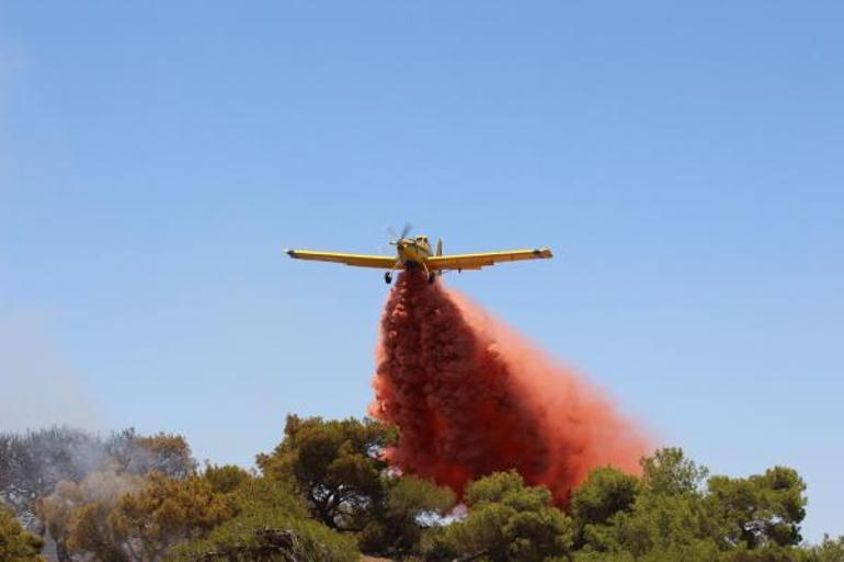 Antalyada orman yangını; 2 saatte kontrol altına alındı