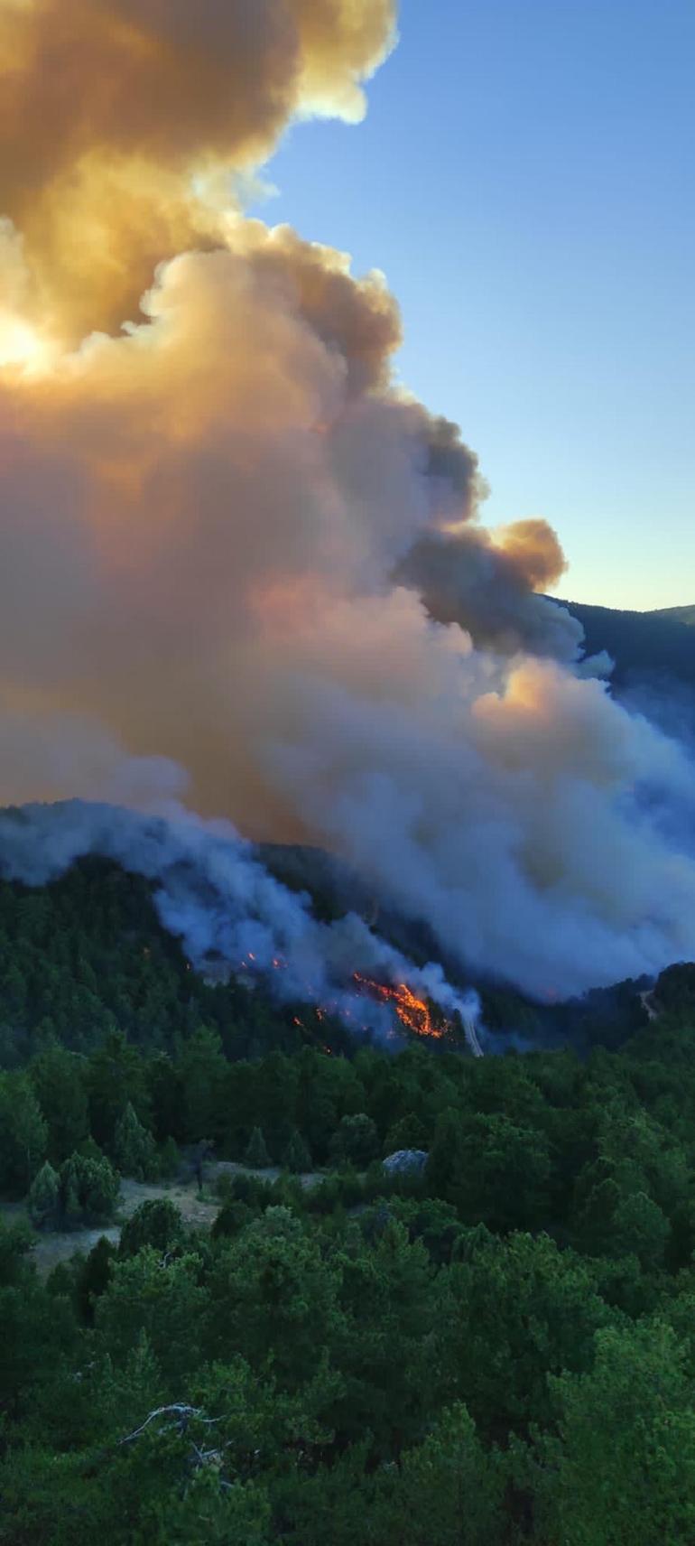 Kütahyada orman yangını