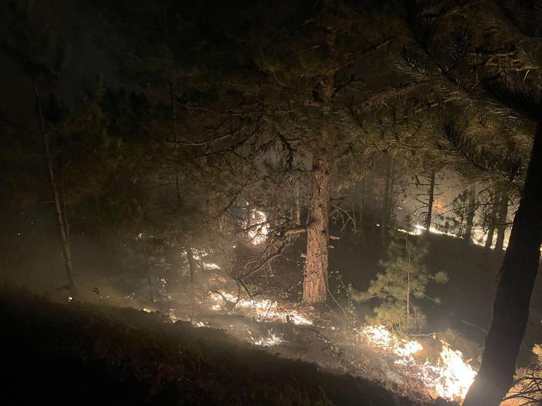 Kütahyada orman yangını