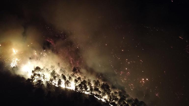 Kütahyada orman yangını