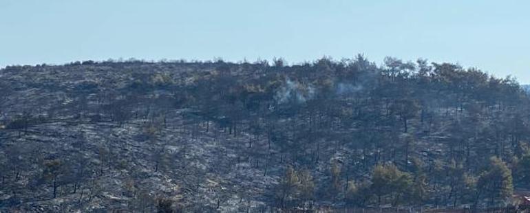 Manisadaki orman yangını 13,5 saat sonra kontrol altında