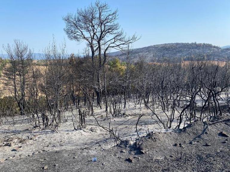 Manisadaki orman yangını 13,5 saat sonra kontrol altında